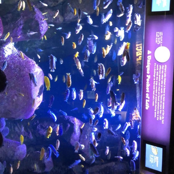 Meet your Posher, Stephanie - Picture 1 of 1